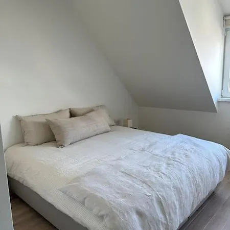 Bellini - Rubensplein - Op 100 M Het クノック・ヘイスト