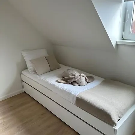 Bellini - Rubensplein - Op 100 M Het